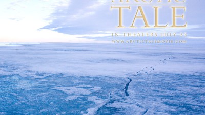 무료 영화[Arctic Tale]시사회 초대권 배부합니다.
