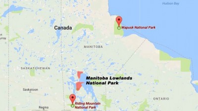 매니토바주에 3번째 새로운 캐나다 국립공원 발표될 예정 - 매니토바 저지대 국립공원(Manitoba Lowlands National Park)