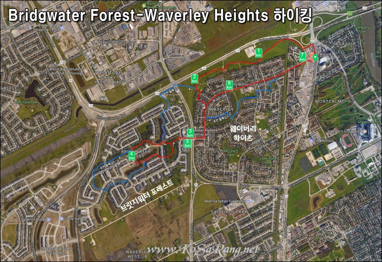 BridgwaterForest-WaverleyHi.jpg