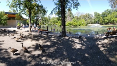 세인트 비탈 공원(St. Vital Park)내 오리 연못(Duck Pond) 주변 풍경