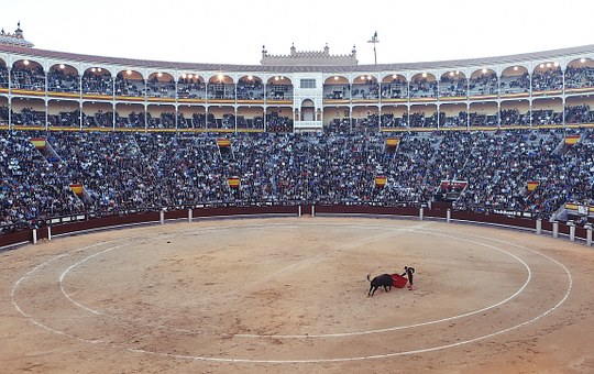 bullfight-406865__340.jpg