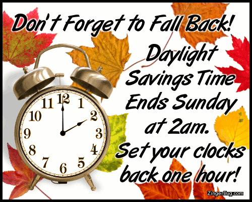 2022년 11월 6일 (일) - 일광 절약 시간제(Daylight Saving Time) 종료; 오전 2시를 오전 1시로 변경