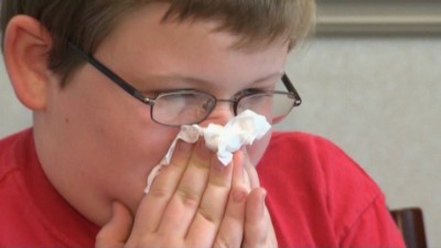 독감과 호흡기 질환은 학교와 어린이집(daycares)에서 높은 결석률을 야기해