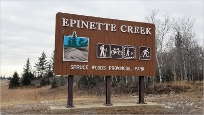 에피넷 크릭 트레일(Epinette Creek Trail) 하이킹 - 스프루스 우즈 주립공원(Spruce Woods Provincial Park)