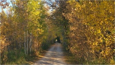 가을 단풍이 예쁜 하트 트레일(Pine Point Trail)에서 산책 및 자전거 타기