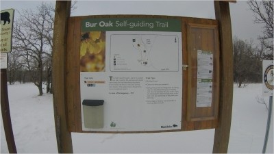 버 오크 트레일(Bur Oak Trail)과 시더 보그 트레일(Cedar Bog Trail) 일부 구간 하이킹 - 버즈힐주립공원
