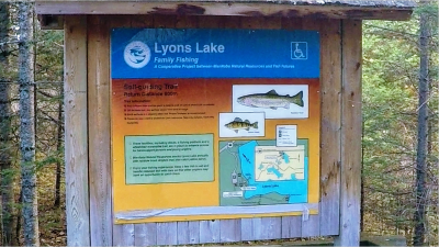 라이온스 호(Lyons Lake) 산책