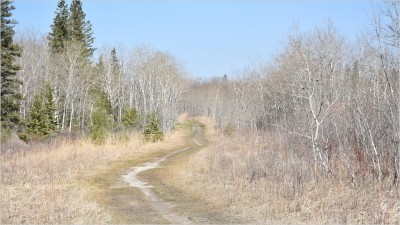 버즈 힐 주립공원(Birds Hill Provincial park)의 파인 리지 트레일(Pine Ridge Trail) 하이킹