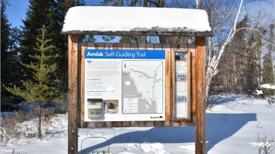 겨울철 가벼운 마음으로 하이킹을 할 수 있는 아름다운 곳 - 아미스크 트레일(Amisk Trail)