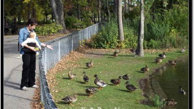 아시니보인공원의 가을 (2) - Duck Pond