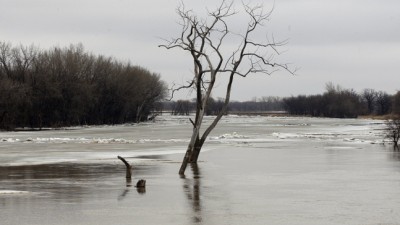 작년보다 홍수 수위 낮아질 듯 - 얼음이 서서히 녹고 건조한 날씨가 계속 되어